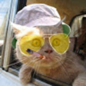 Meet your Posher, Calvin